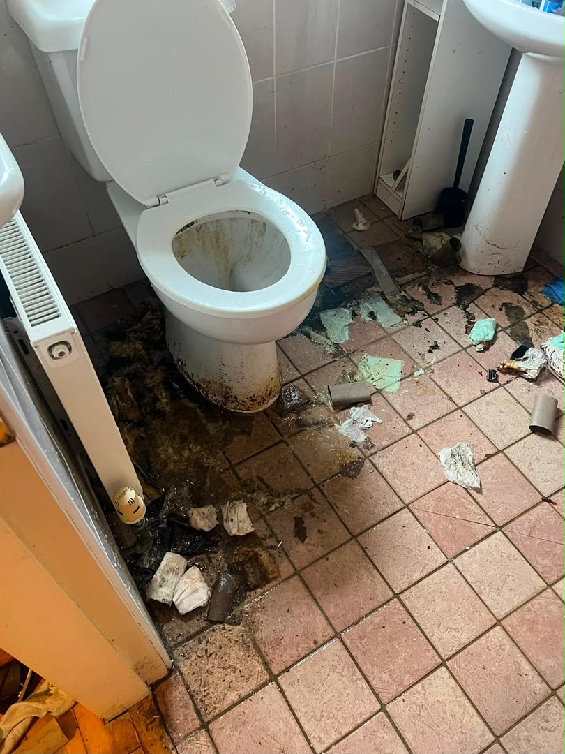 Before cleaning